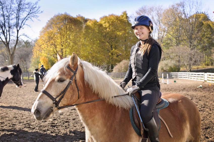 What’s the Deal with Discount Equestrian horse leasing service?