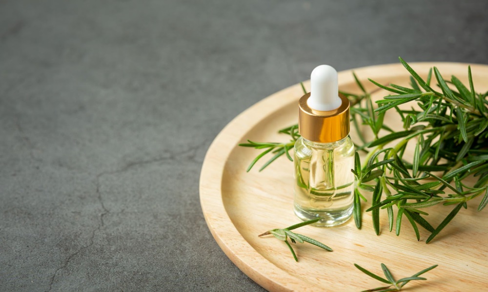 The Enduring Allure of Rosemary: From Ancient Cures